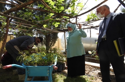 مديرية الاقسام الداخلية تطلق حملة زراعة ١٥٠ شجرة بالتنسيق مع منظمة كوكار